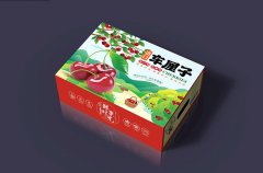 車?yán)遄影b盒定制，從視覺上增強(qiáng)產(chǎn)品的儀式感